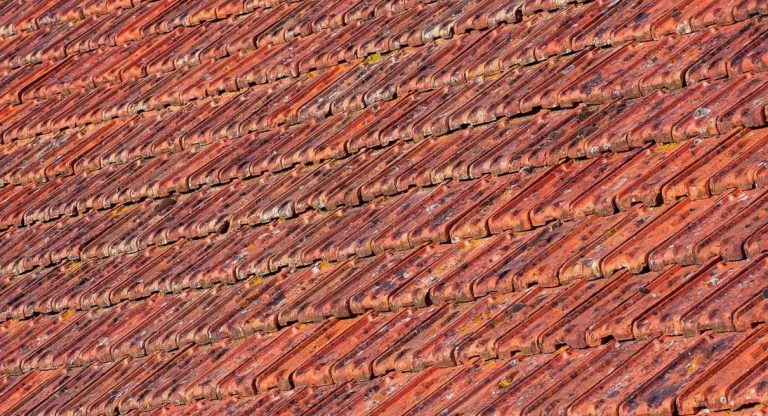 Tuiles de toiture en terre cuite texturées sous la lumière du soleil